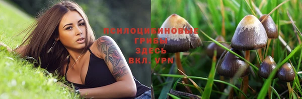 бутират Горнозаводск