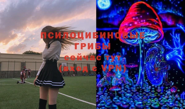 бутират Горнозаводск